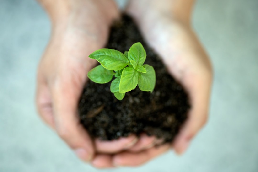 Sustainability Through Simplicity